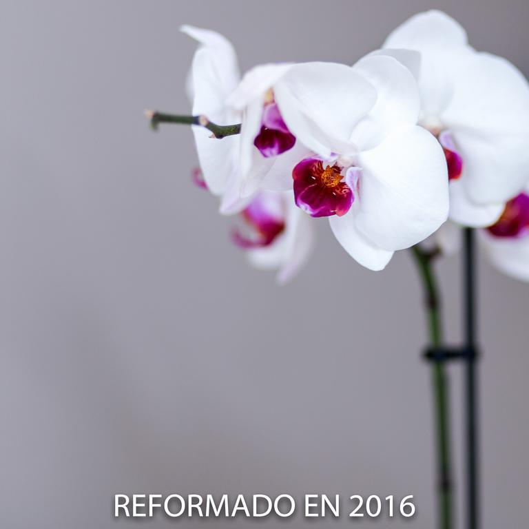Di' Carlo Otel Madrid Dış mekan fotoğraf